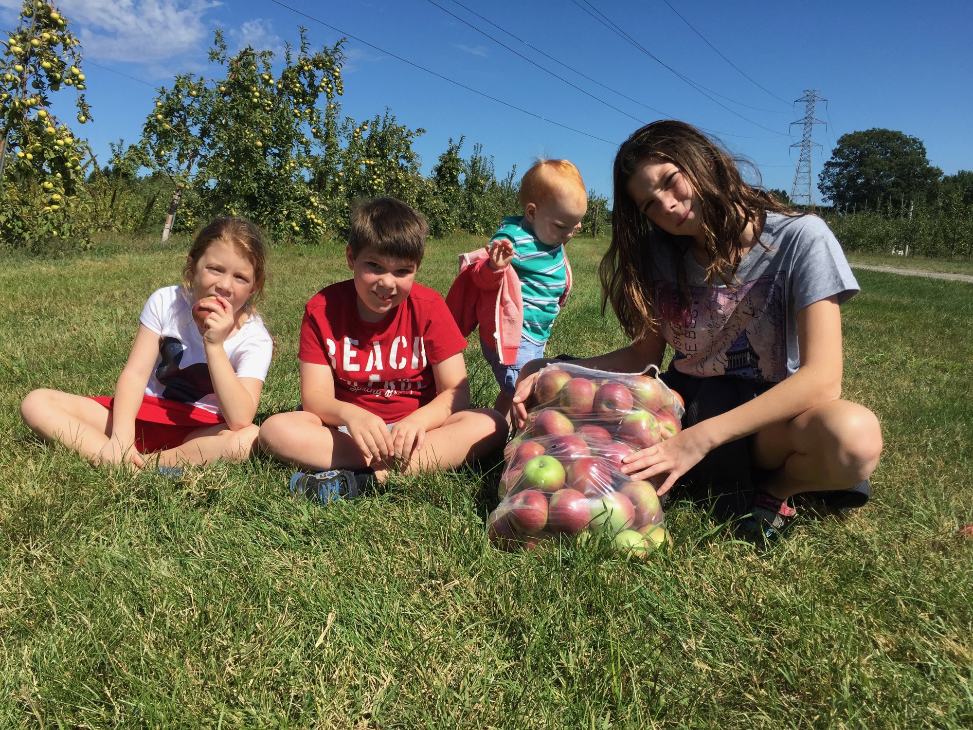 apple-picking-2015-7 photo