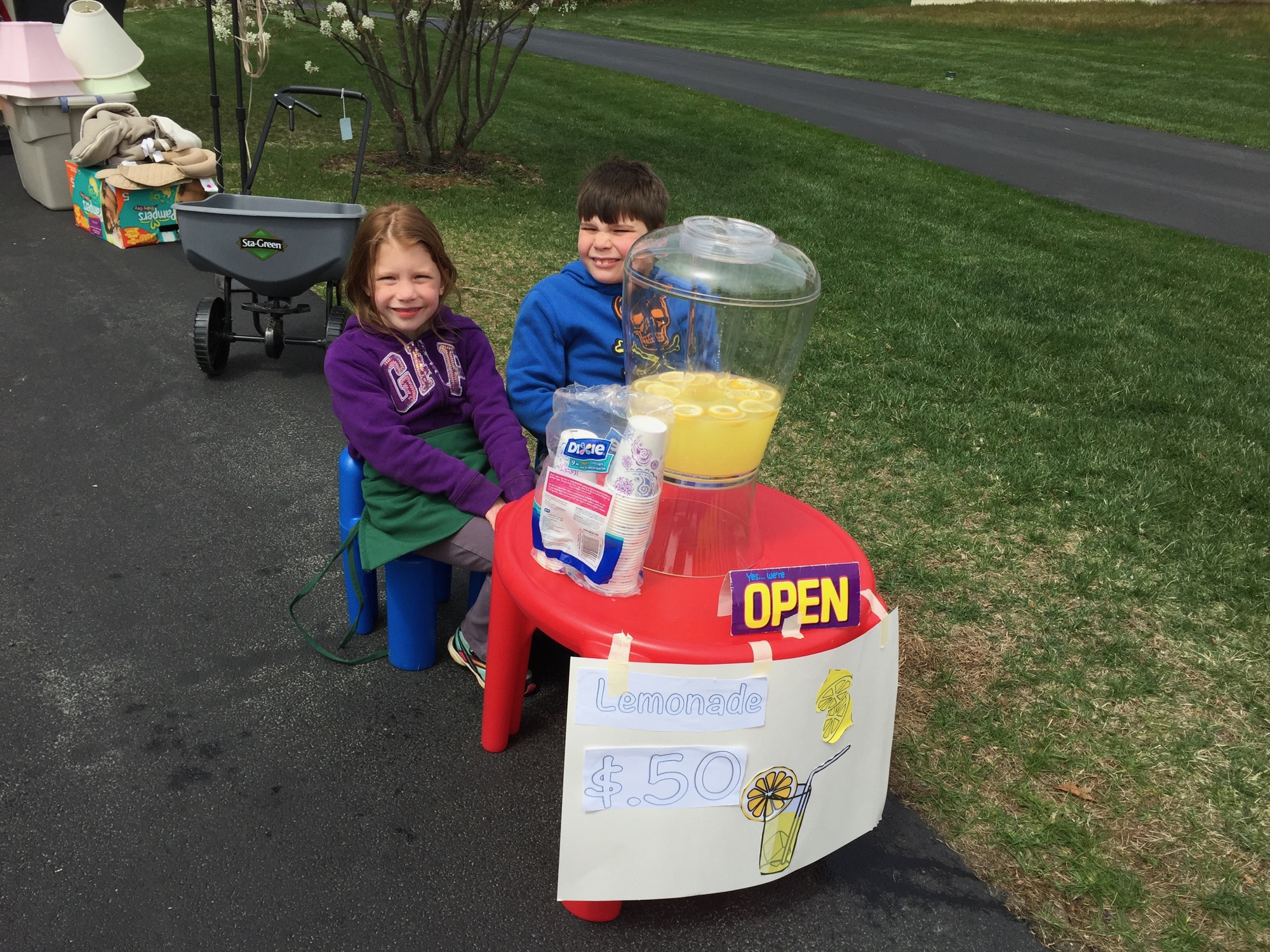 2015-05-10-lemonade photo