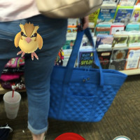 Gotta Catch'em All