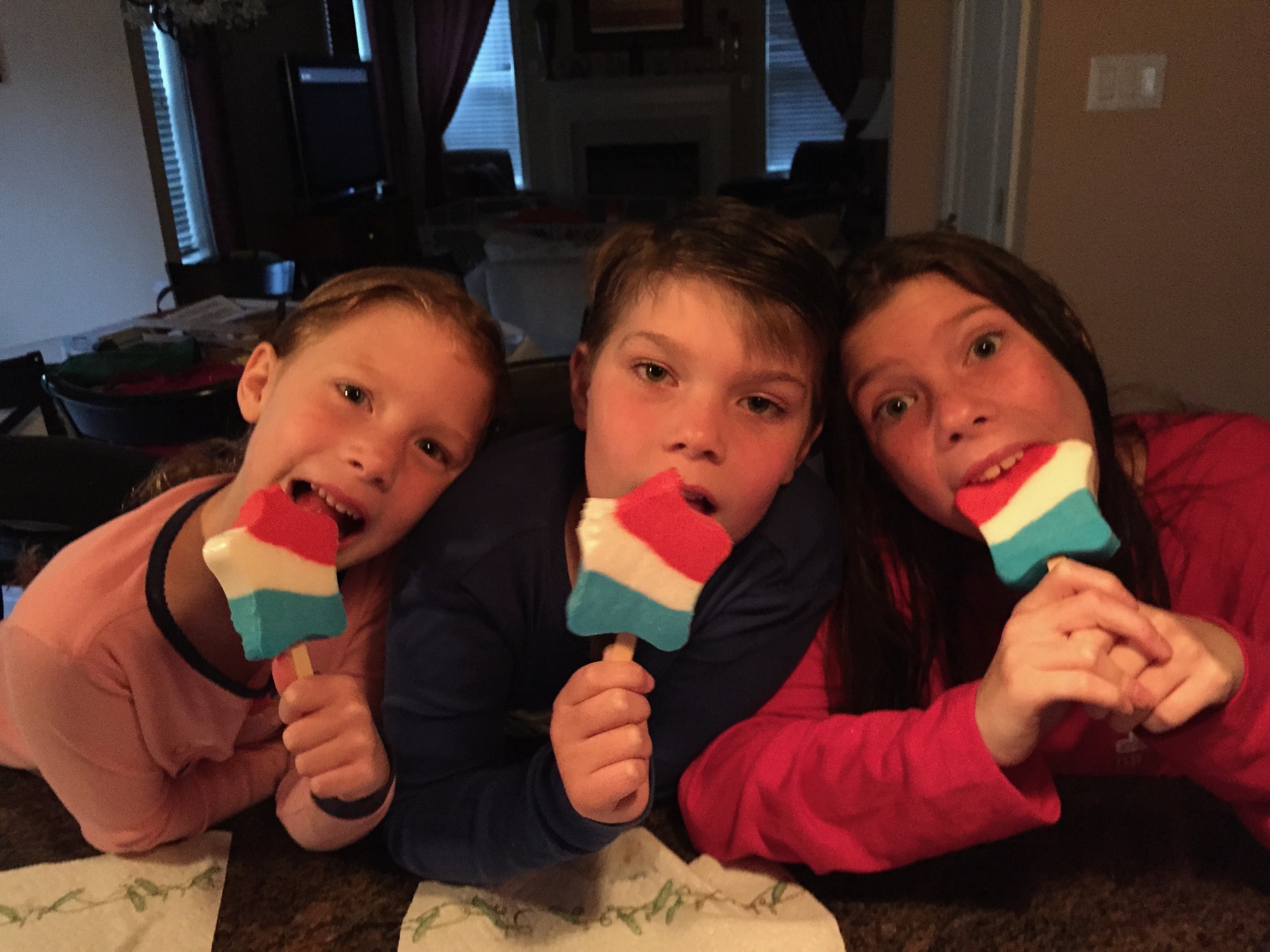 2015-07-04-july4-popsicles photo