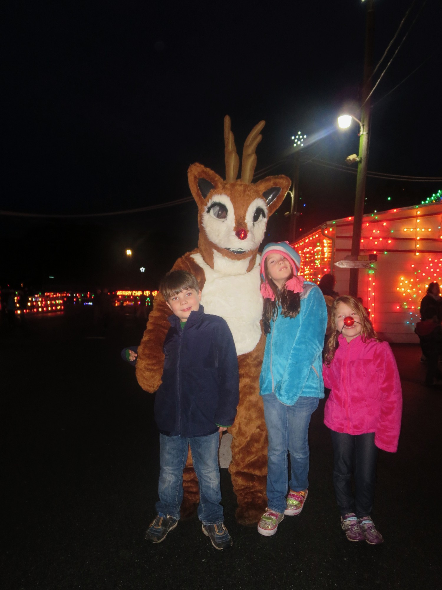 img_0663 photo