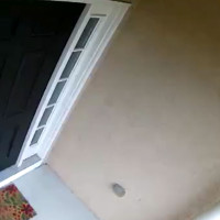 Infestation