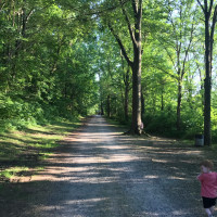 Marsh Creek Stroll