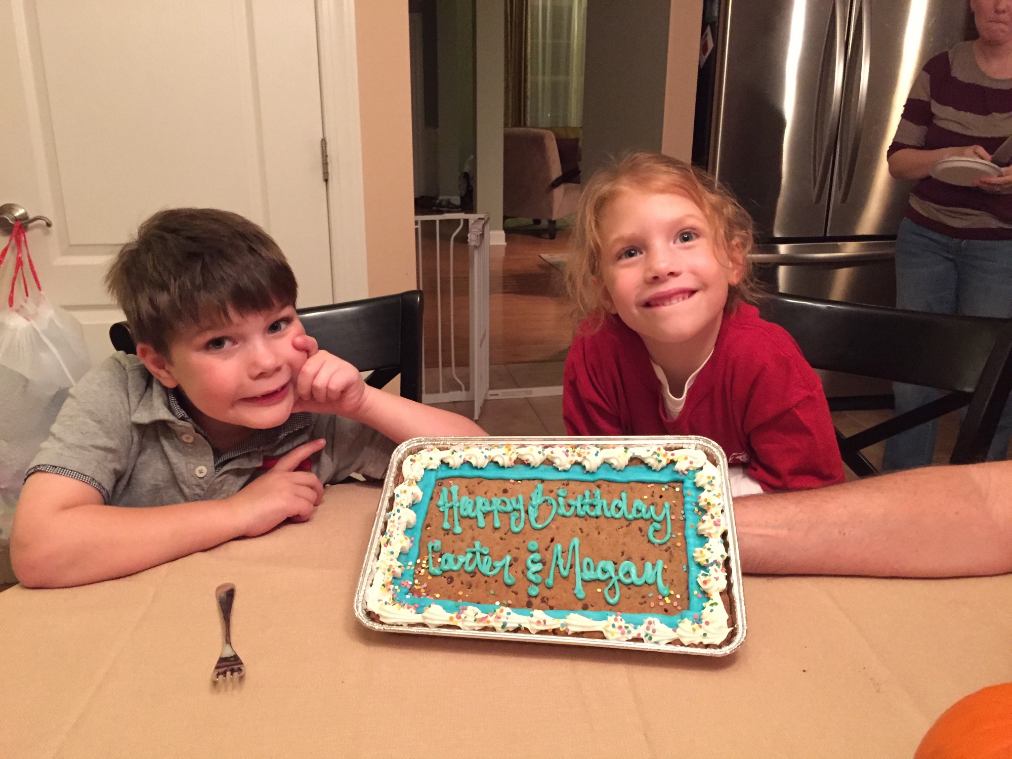 twins-sixth-birthday photo